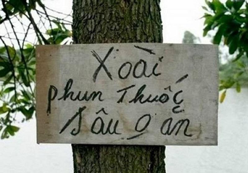 Cười chảy nước mắt” với 1001 chiêu chống trộm trái cây bá đạo chỉ có ở Việt Nam-5